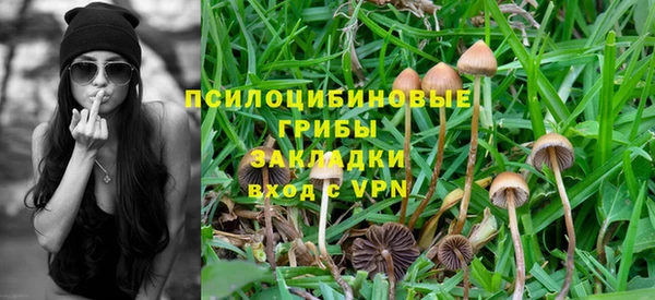 первитин Белоозёрский