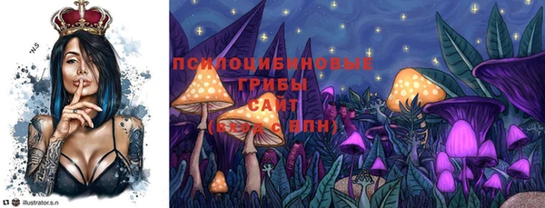 эйфоретик Беломорск