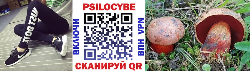 наркотики  Юрюзань  Галлюциногенные грибы мухоморы 